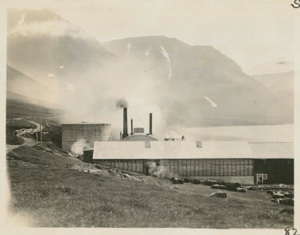 Image of Herring Factory